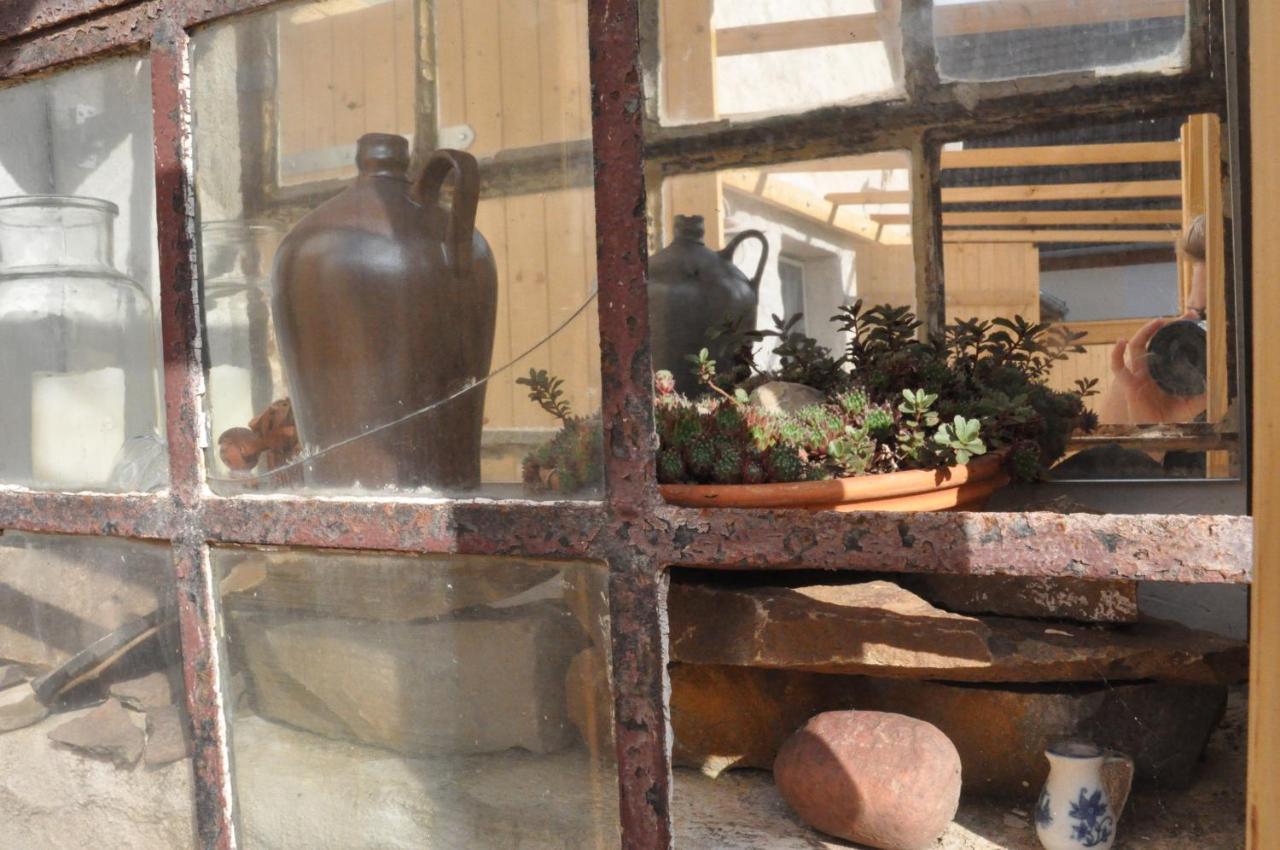 Pension "Seeblick" Am Stelzenhaus Dornburg  エクステリア 写真